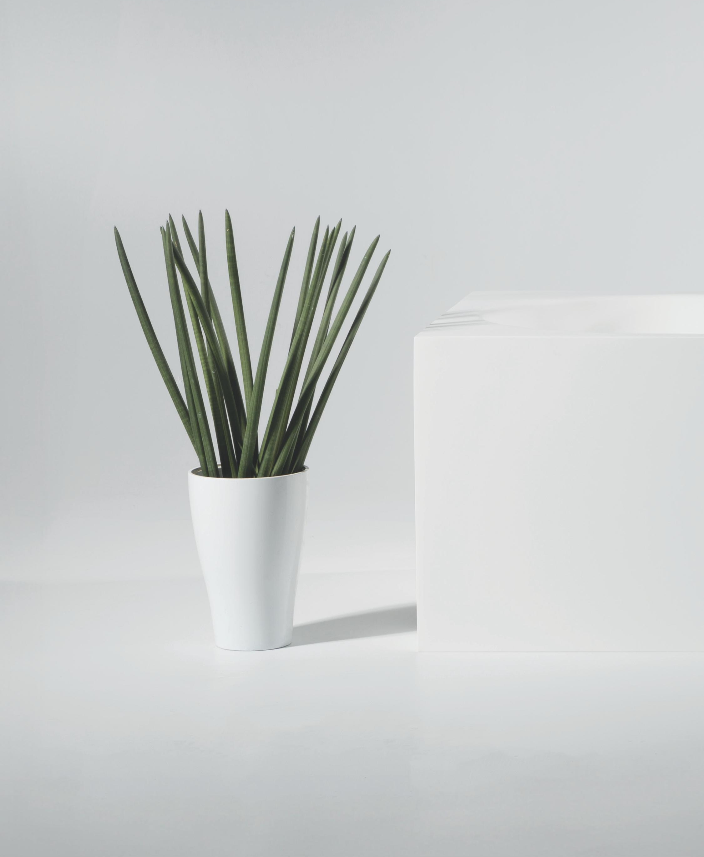 Dettaglio bordo vasca